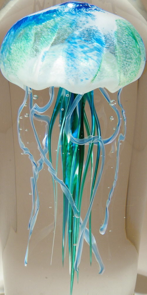 Art Glass Jellyfish from Kela's...a glass gallery on Kauai